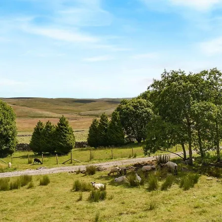 Ashes Farm 2 - Uk39325